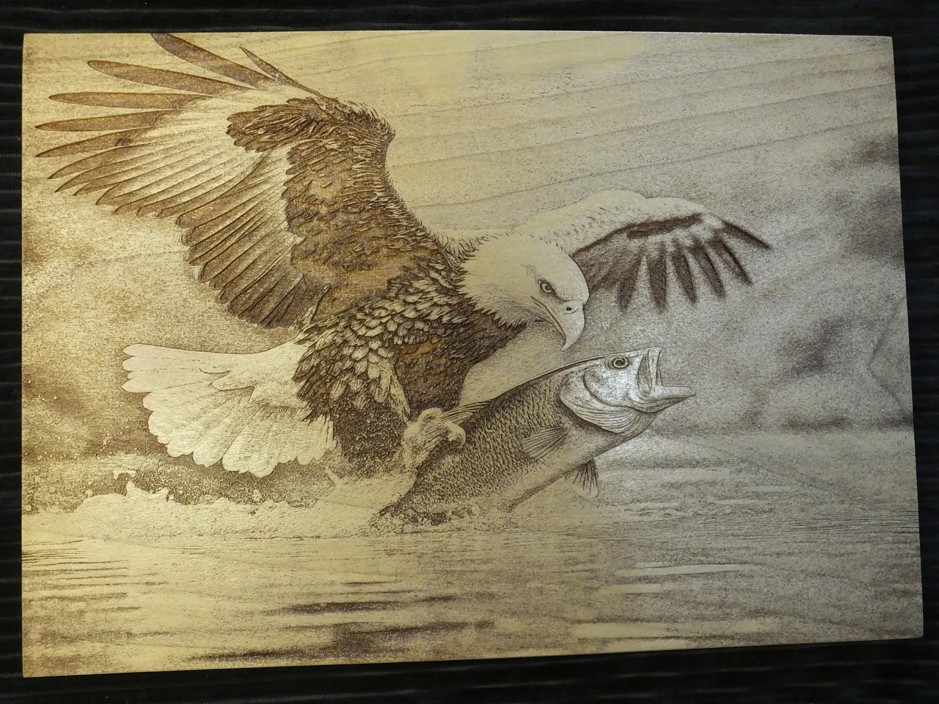 Eagle Catching Fish