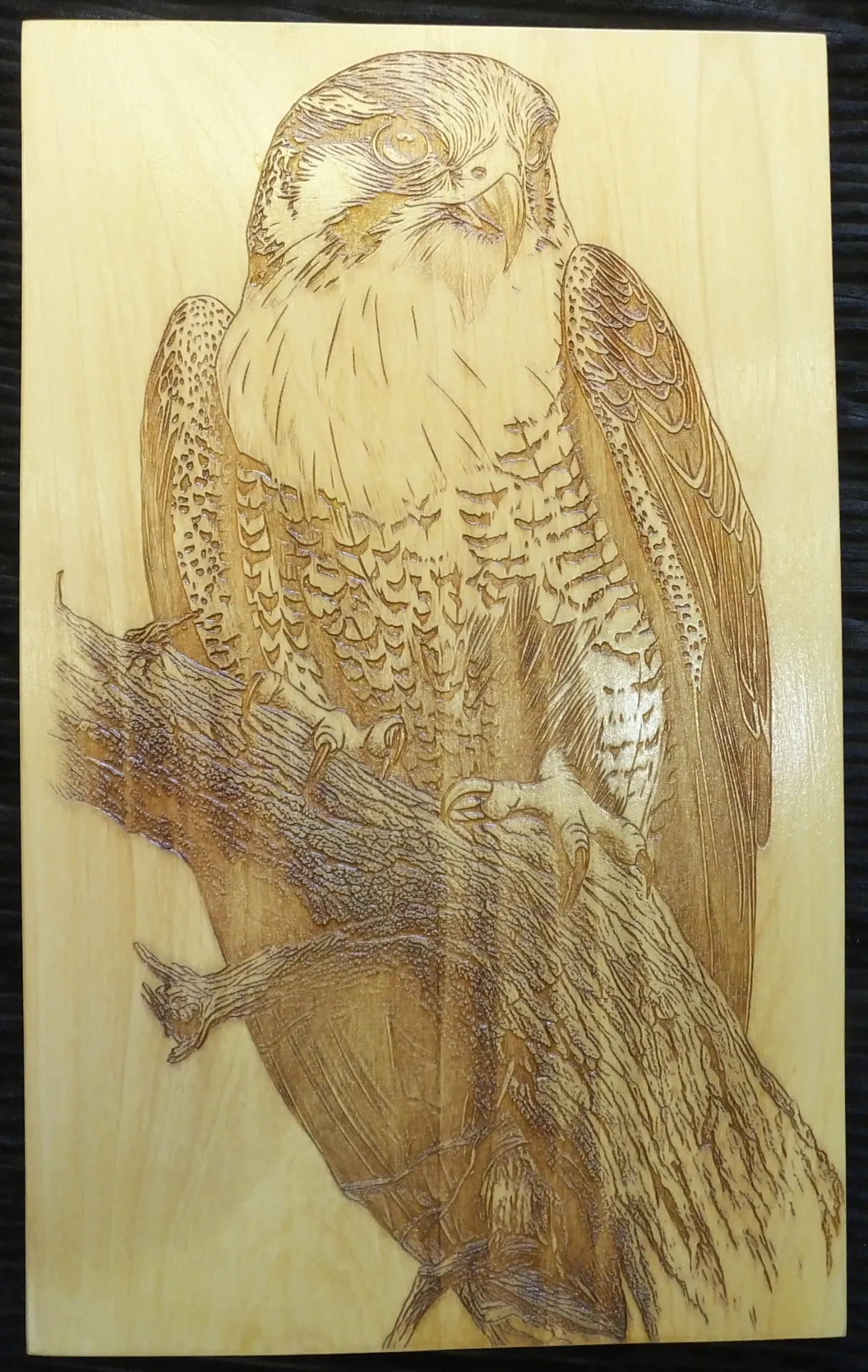 Perrigin Hawk
