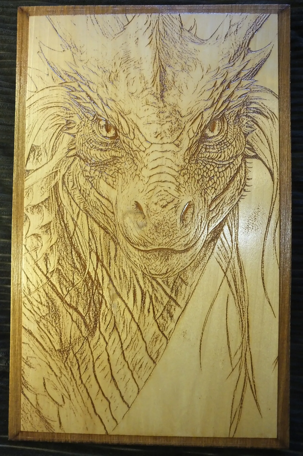 Dragon Staring