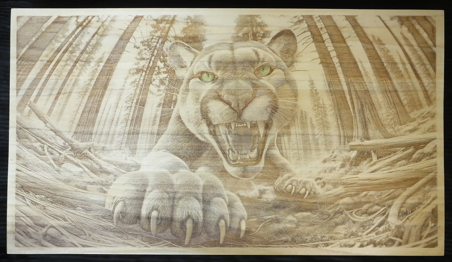 Mountain Lion