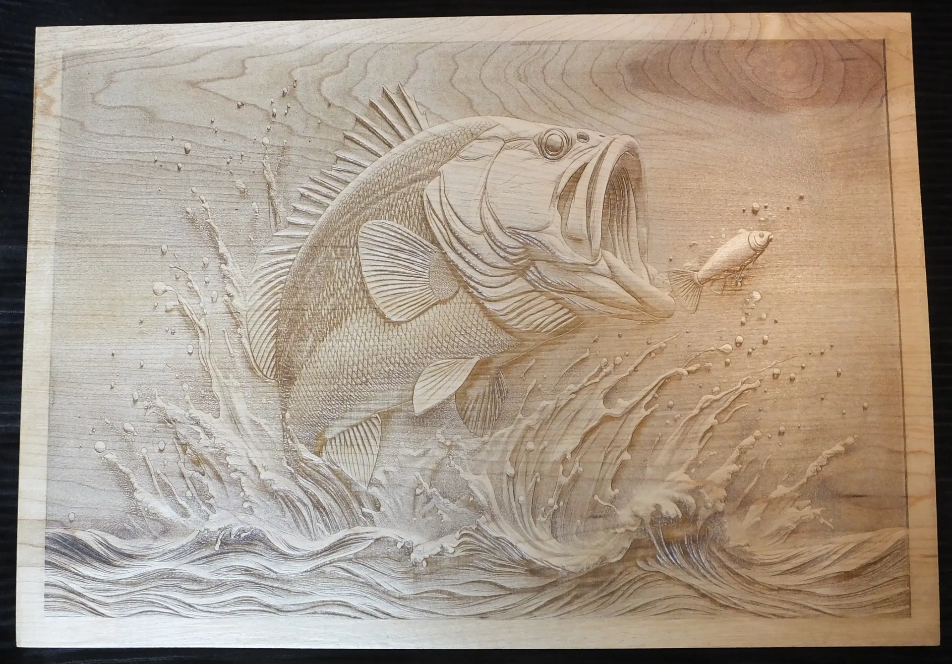 Largemouth Chasing Baitfish