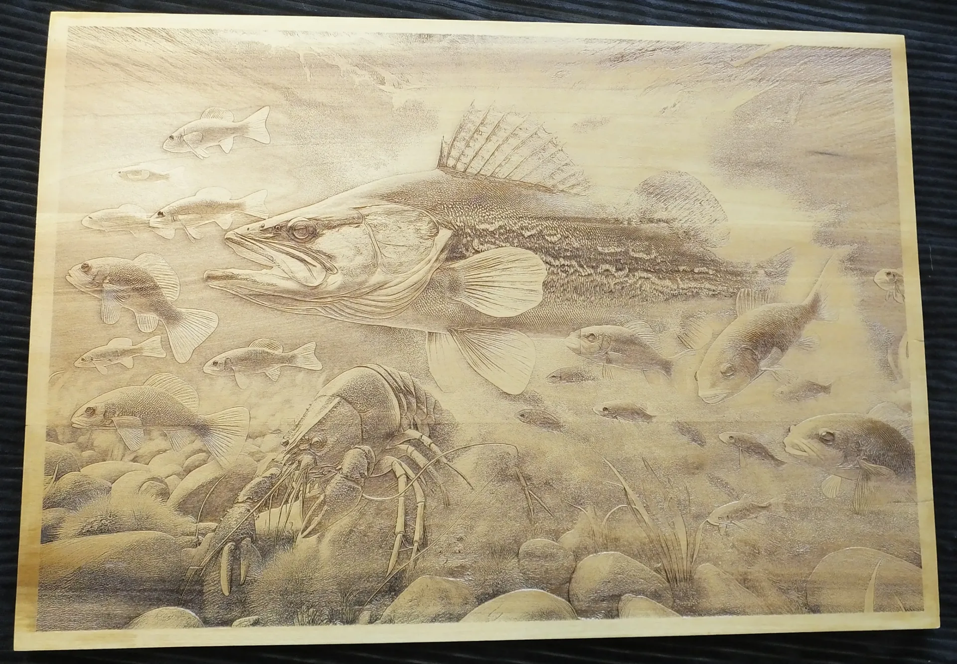 Walleye and Crayfish