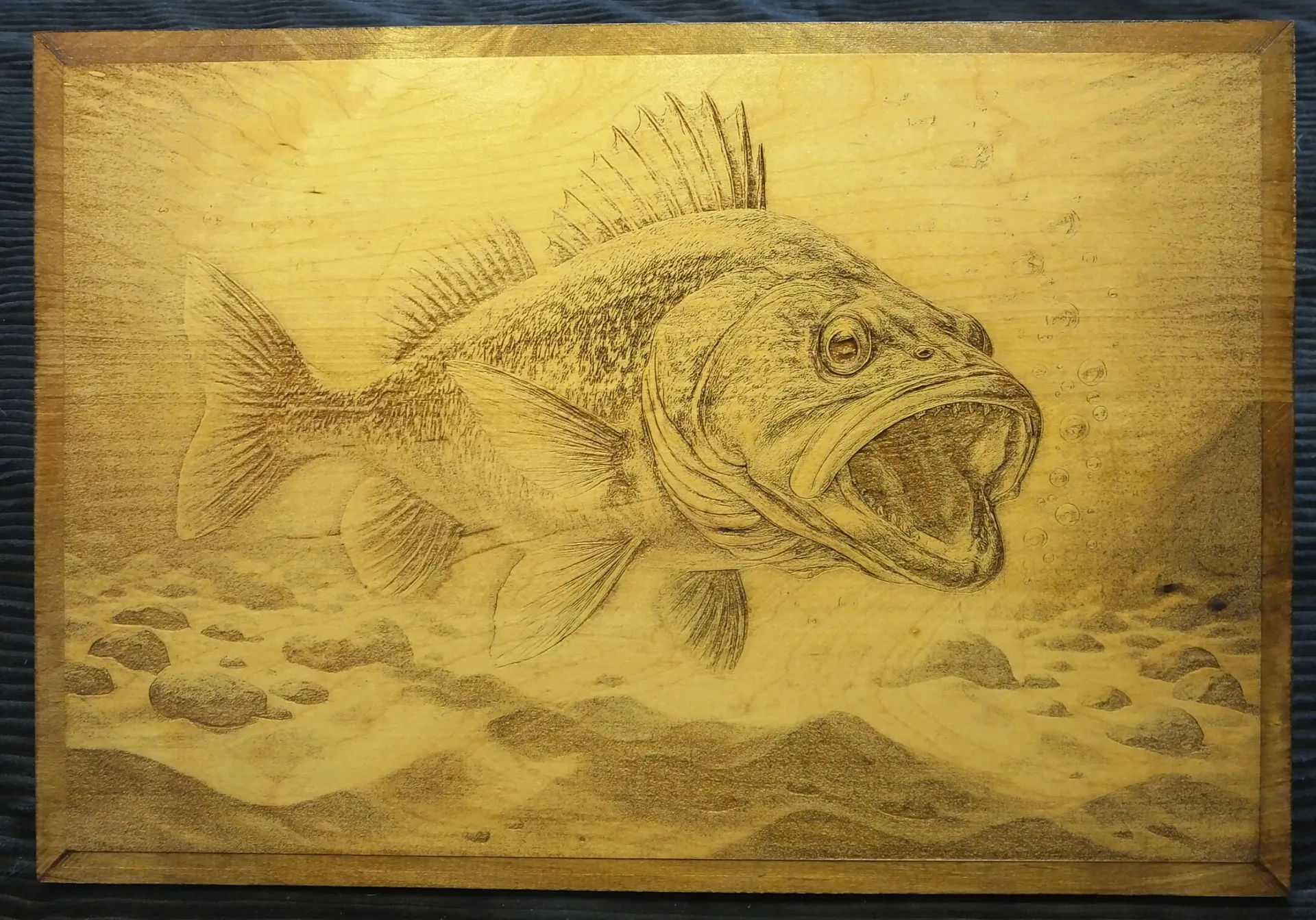 Walleye Engraving