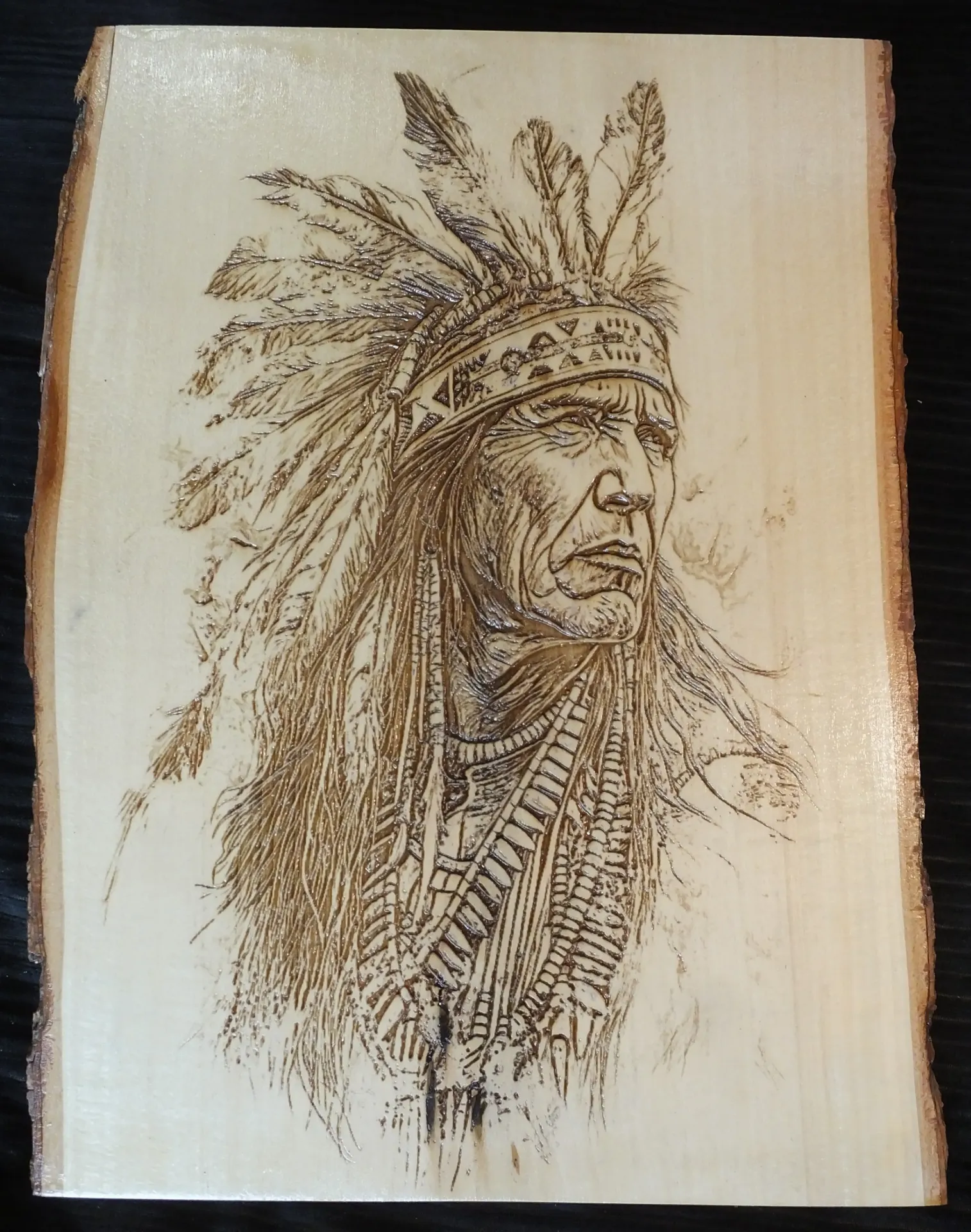 Native American Chief in Headdress