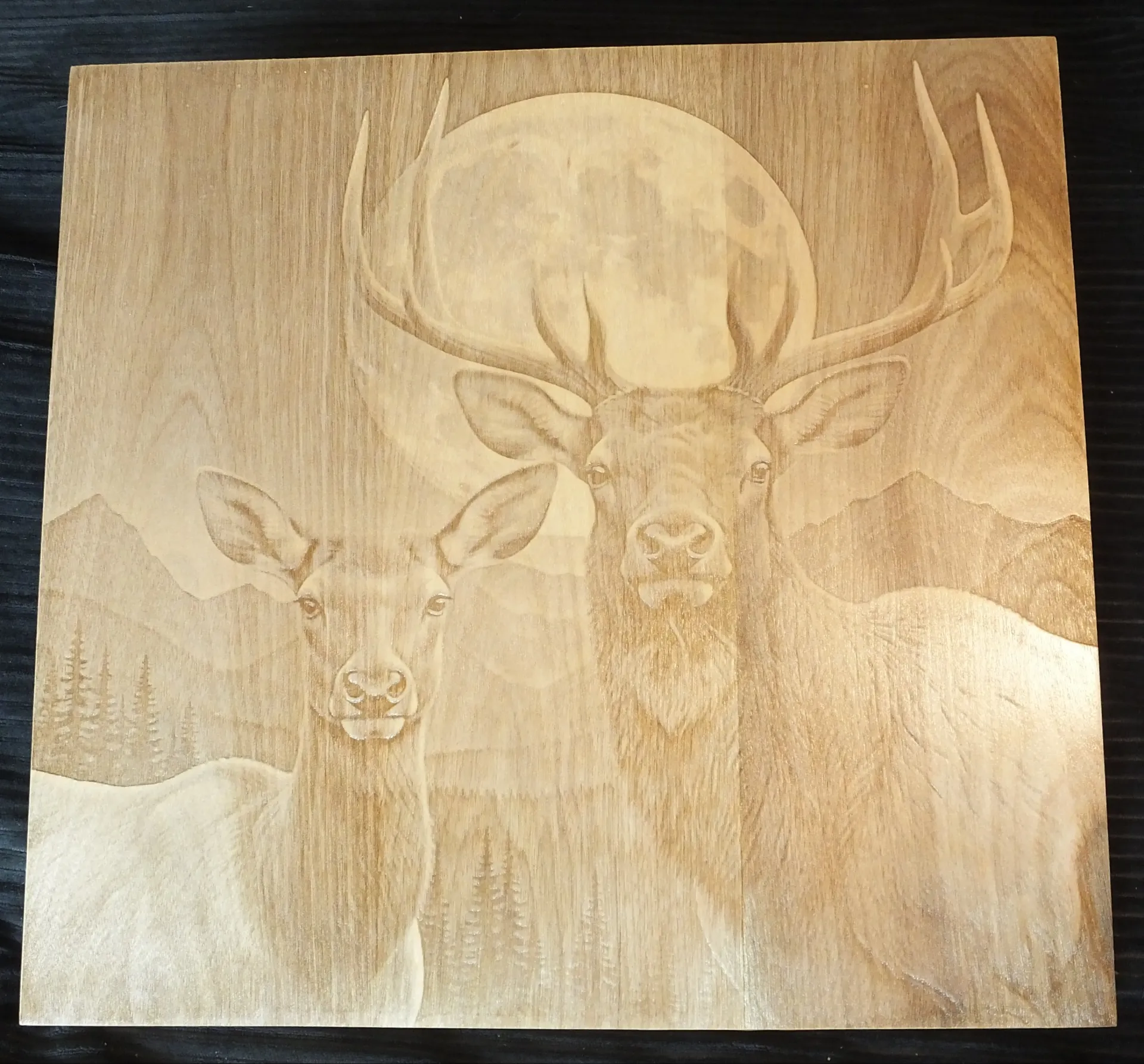 Elk Under a Full Moon