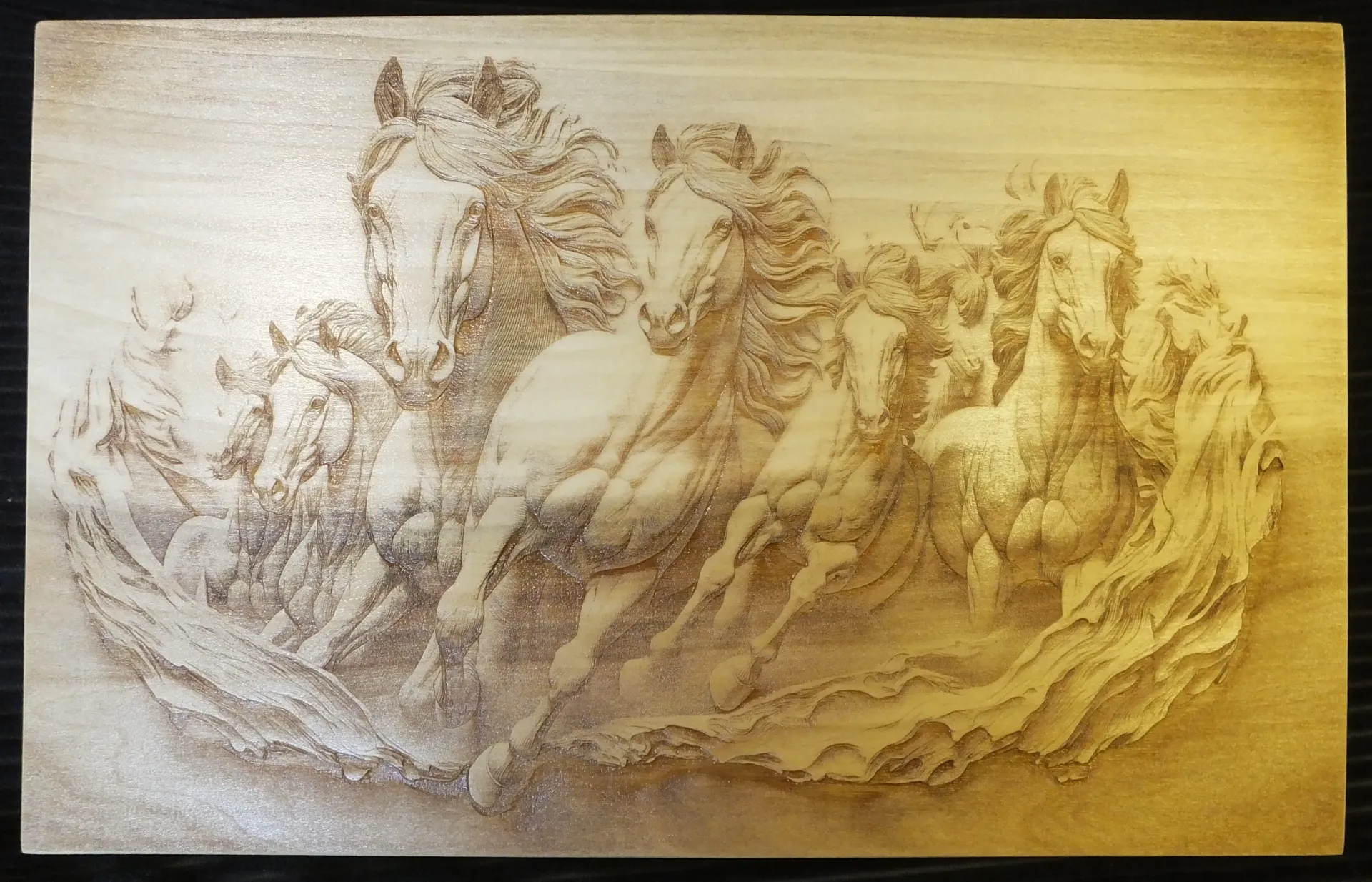 Wild Mustangs