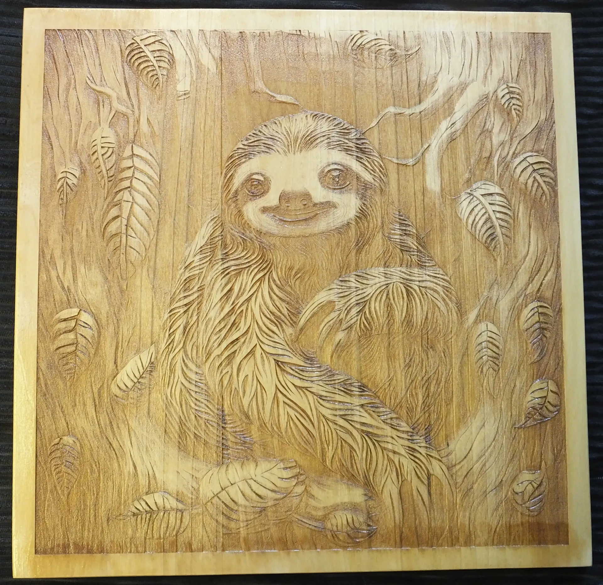 Sloth Engraving
