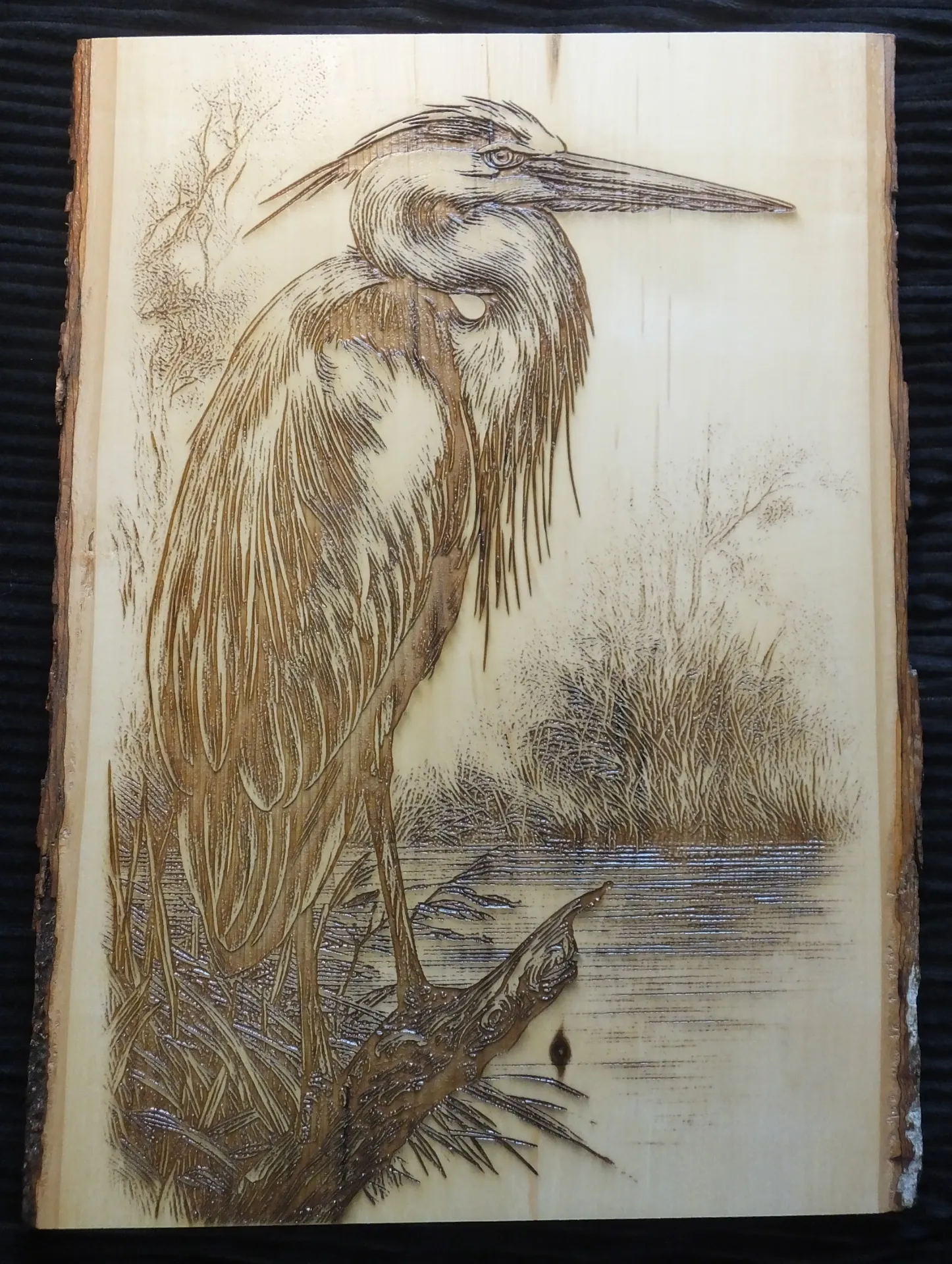 Heron on Live Edge Basswood