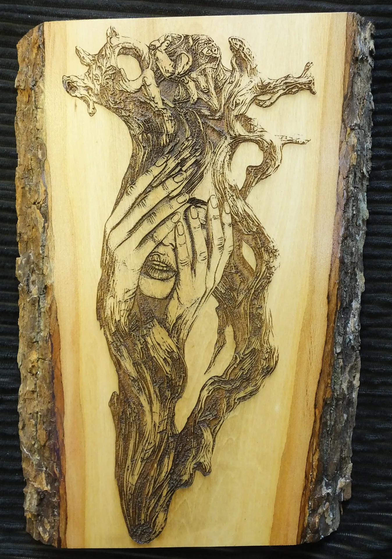Driftwood Abstract Art