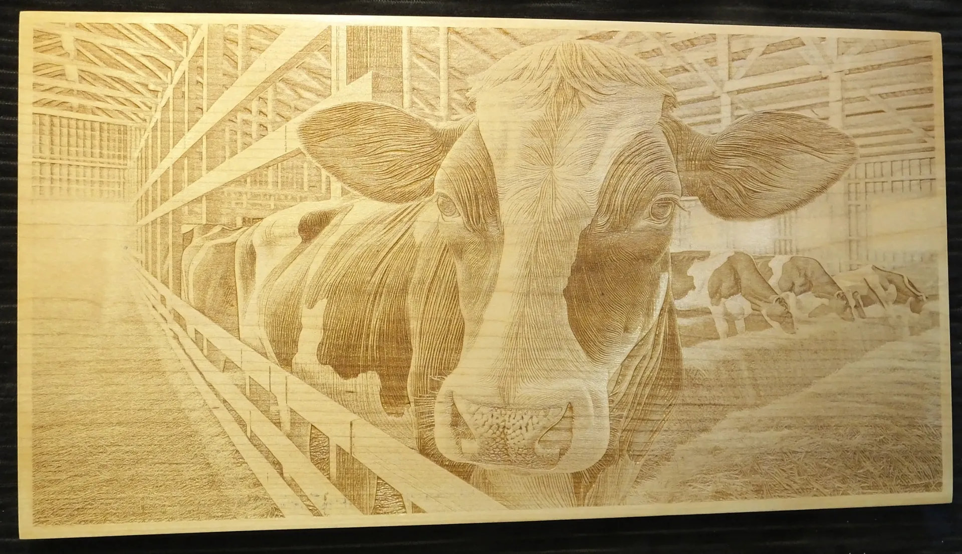 Dairy Farm Milk Cow