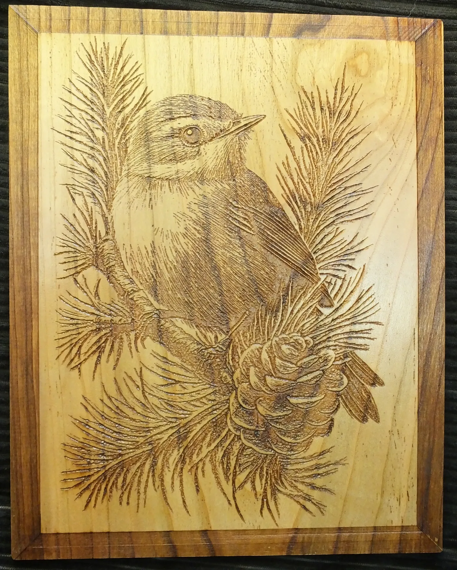 Sparrow in a Pine Tree