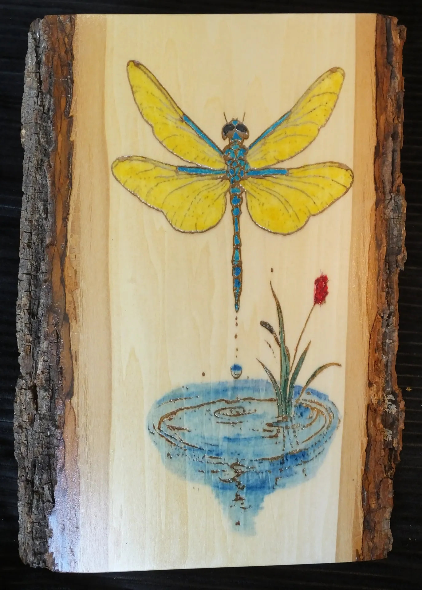 Painted Dragonfly on Live Edge Basswood