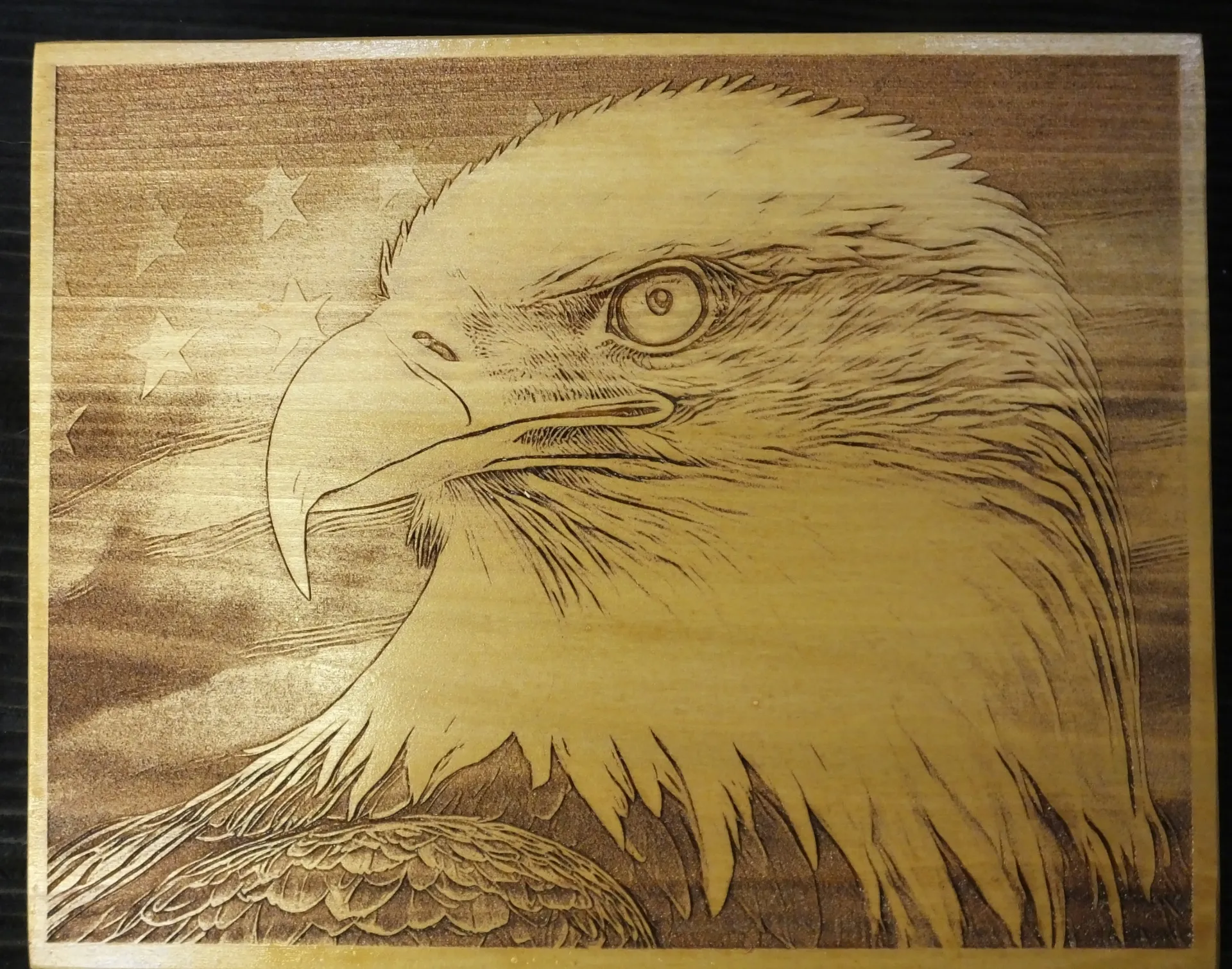 Eagle with American Flag Background