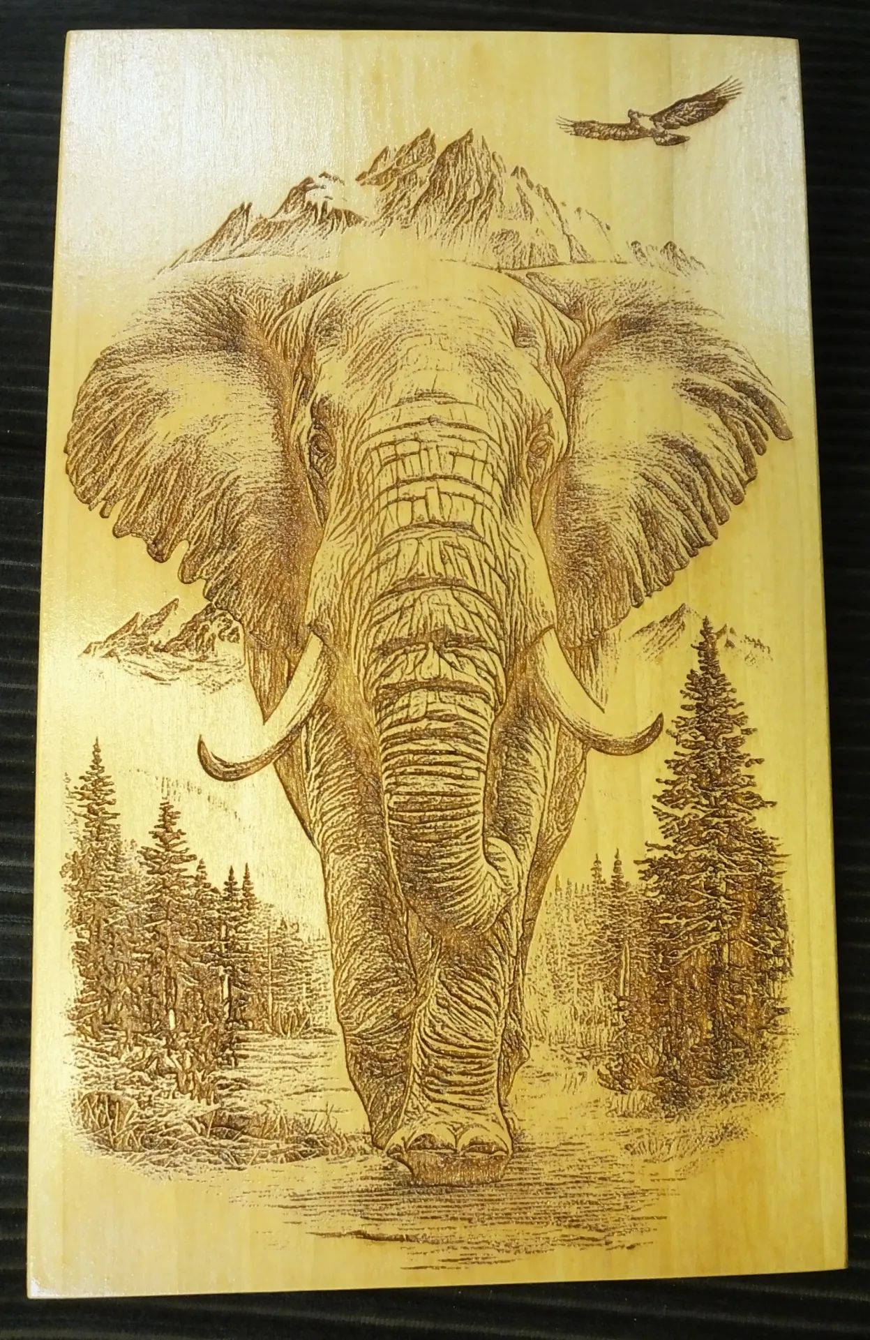 Elephant