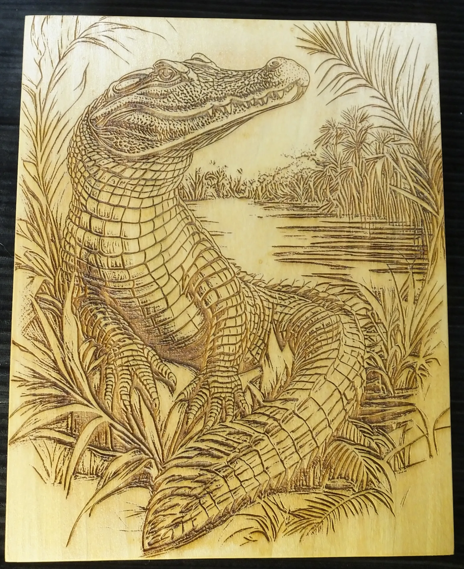 Crocodile
