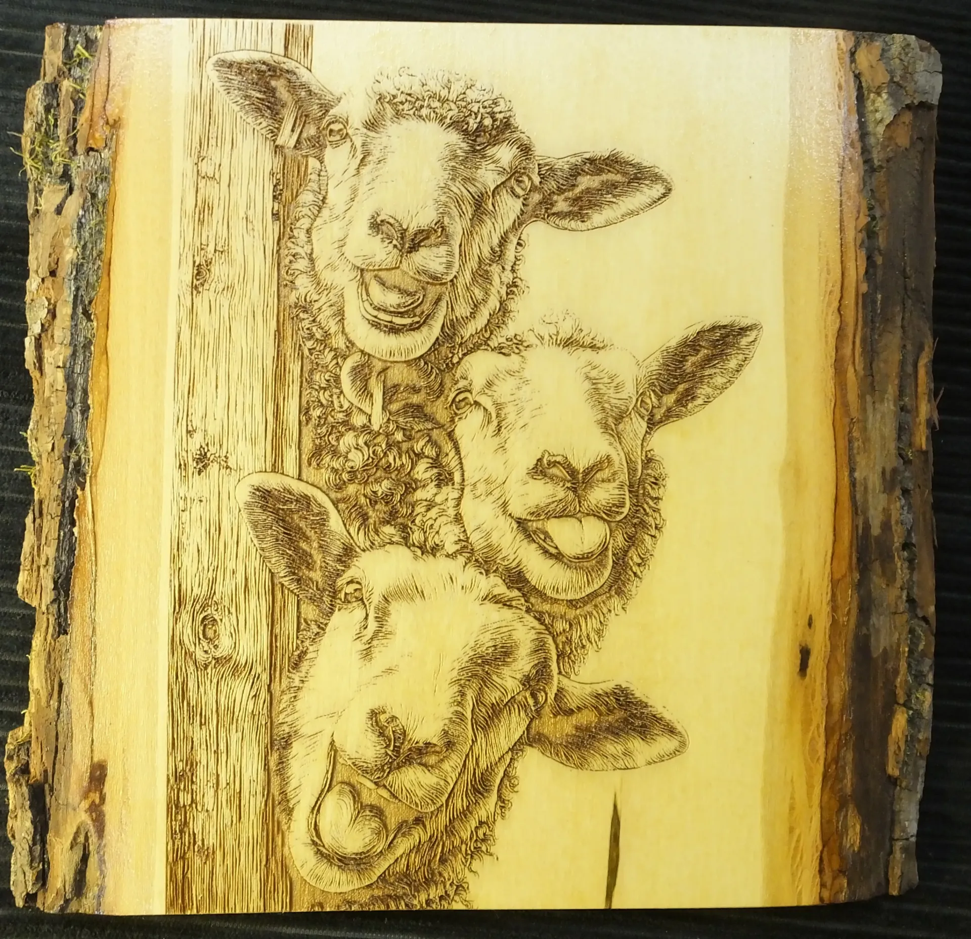 Three Sheep