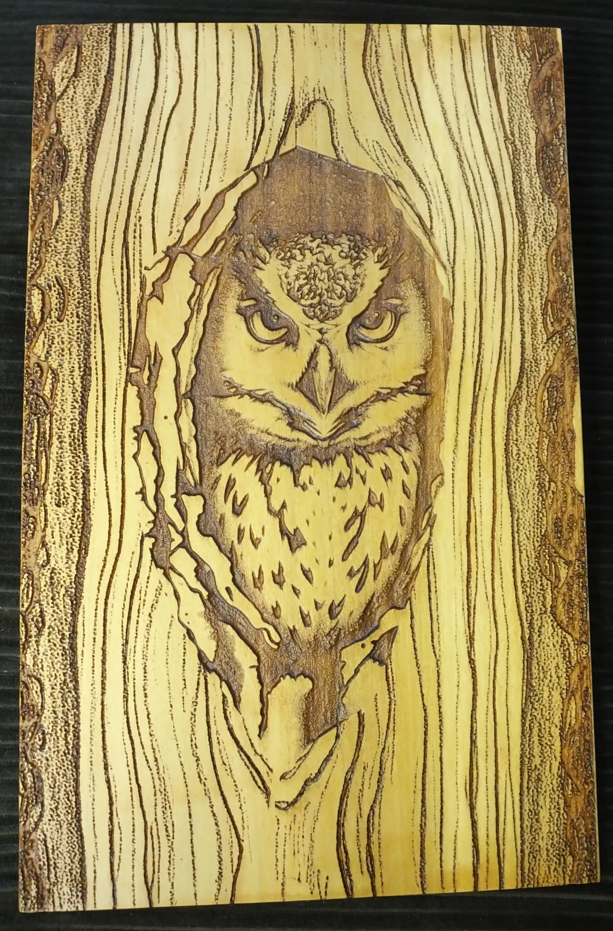 Owl in a Tree Composite